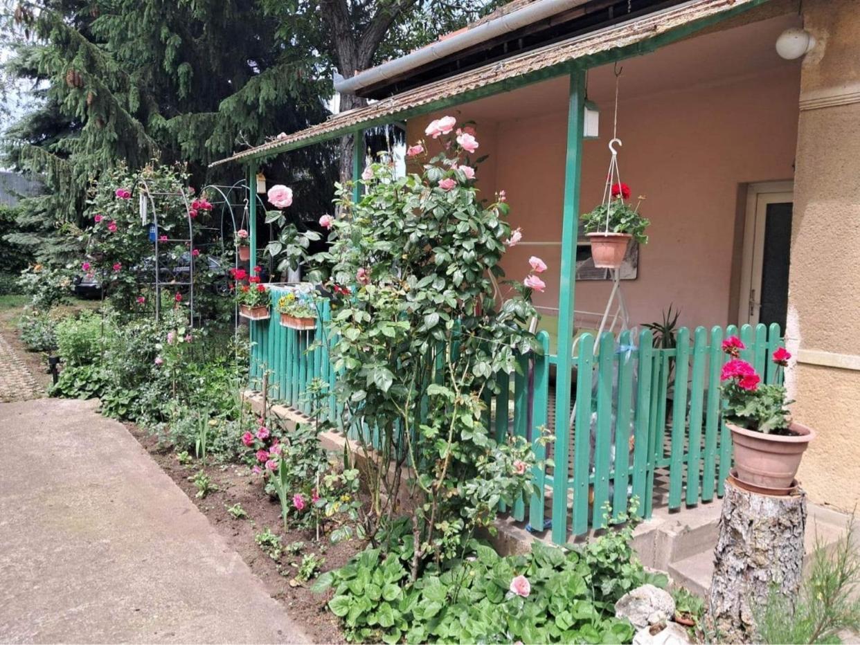 Grany'S Retro Guesthouse Near Budapest Airport Вечийш Екстер'єр фото